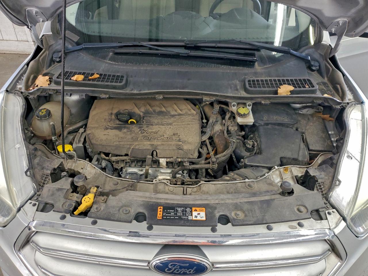 Ford Escape Se Image 13