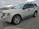 Ford Escape Xlt Image 1