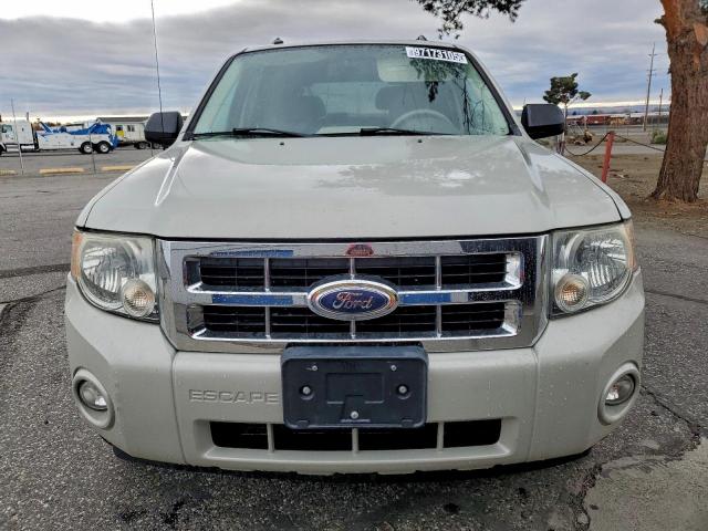 Ford Escape Xlt Image 4