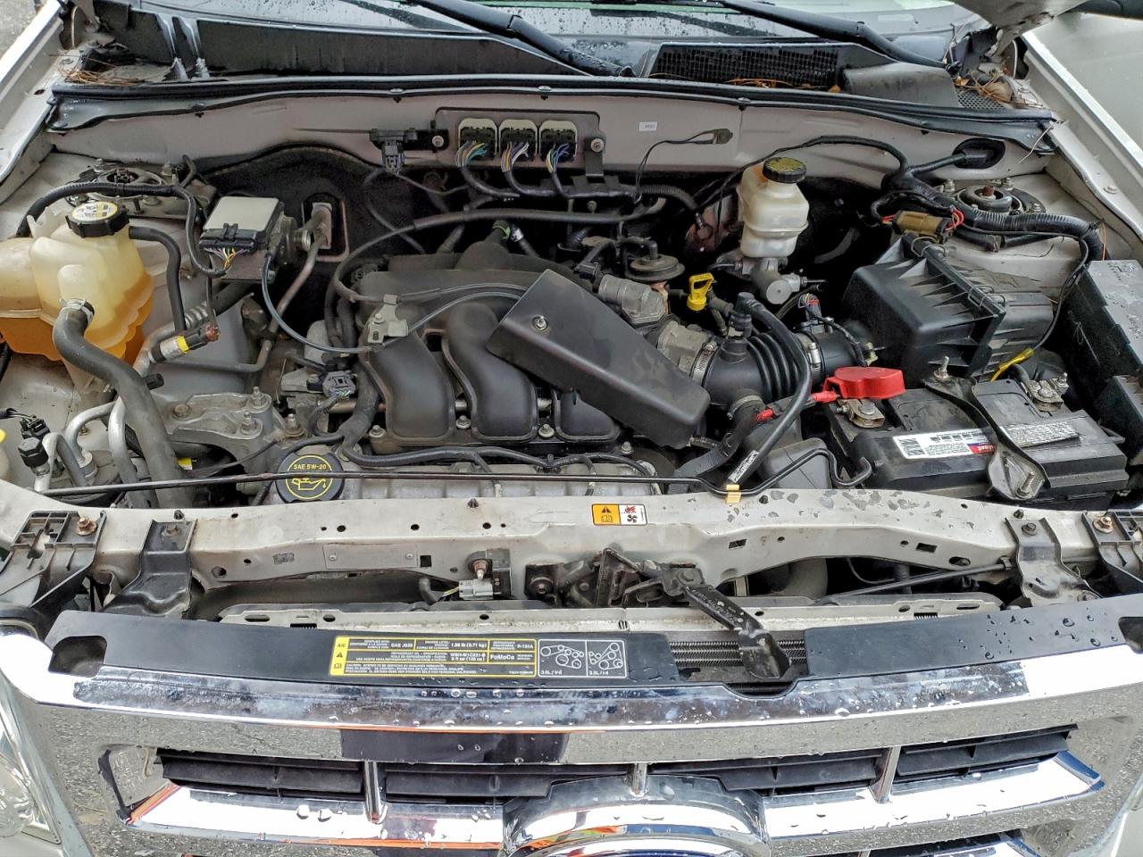 Ford Escape Xlt Image 2